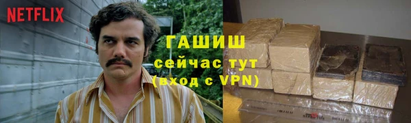 эйфоретик Баксан