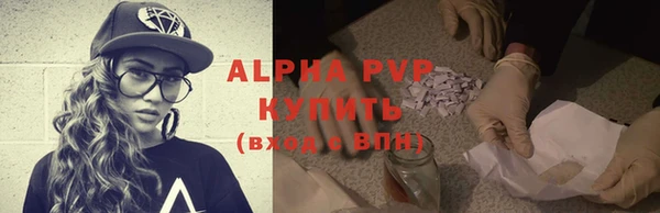 прущие грибы Балахна