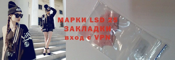 прущие грибы Балахна