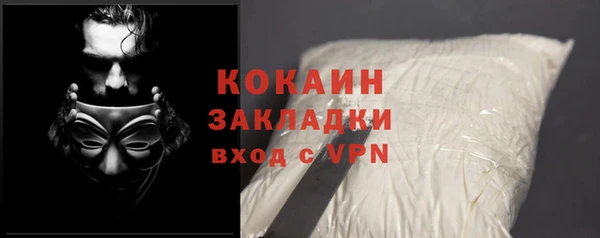 прущие грибы Балахна