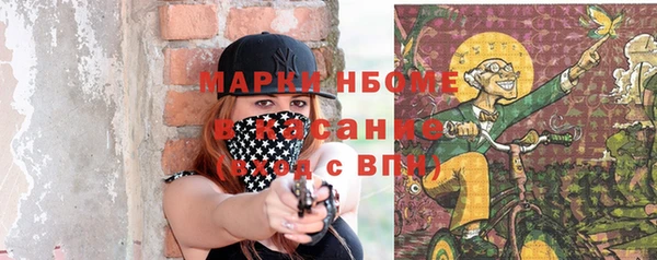 прущие грибы Балахна