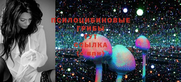 прущие грибы Балахна