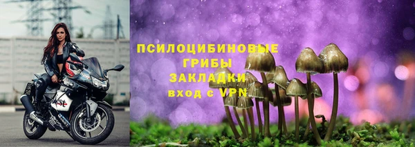 прущие грибы Балахна